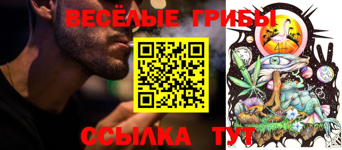 Псилоцибиновые грибы прущие грибы Ирбит